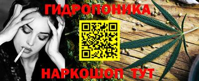 jwh Будённовск