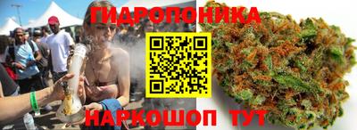 jwh Будённовск