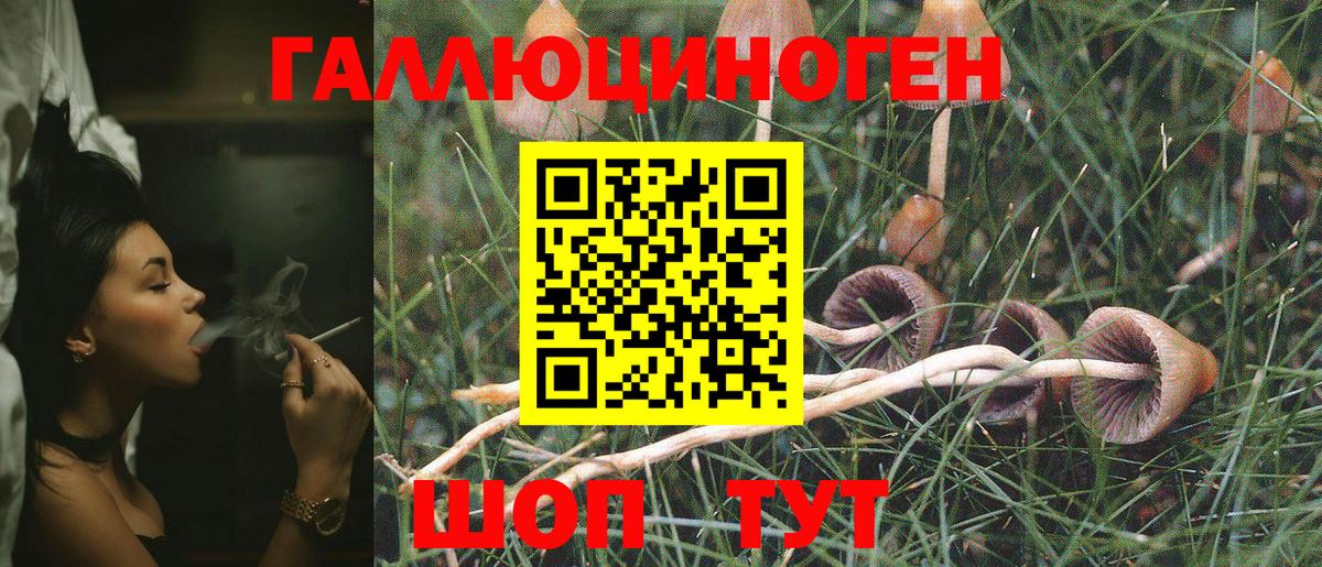 Урус-Мартан  Галлюциногенные грибы Psilocybine cubensis  Вход с VPN  Галлюциногенные грибы MAGIC MUSHROOMS 