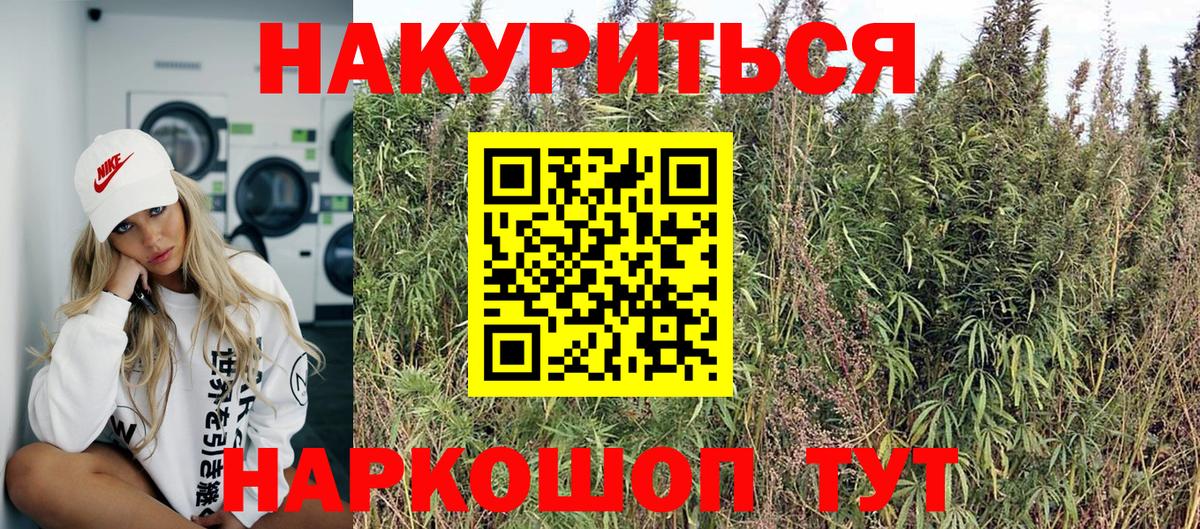 МАРИХУАНА план  Вход с VPN  Урус-Мартан  Бошки марихуана тримм 